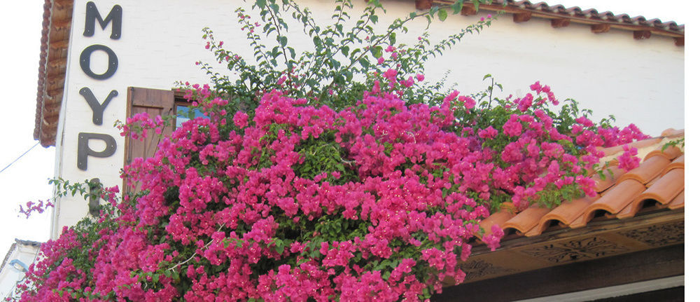 Mouria Hotel Skiathos Exterior foto